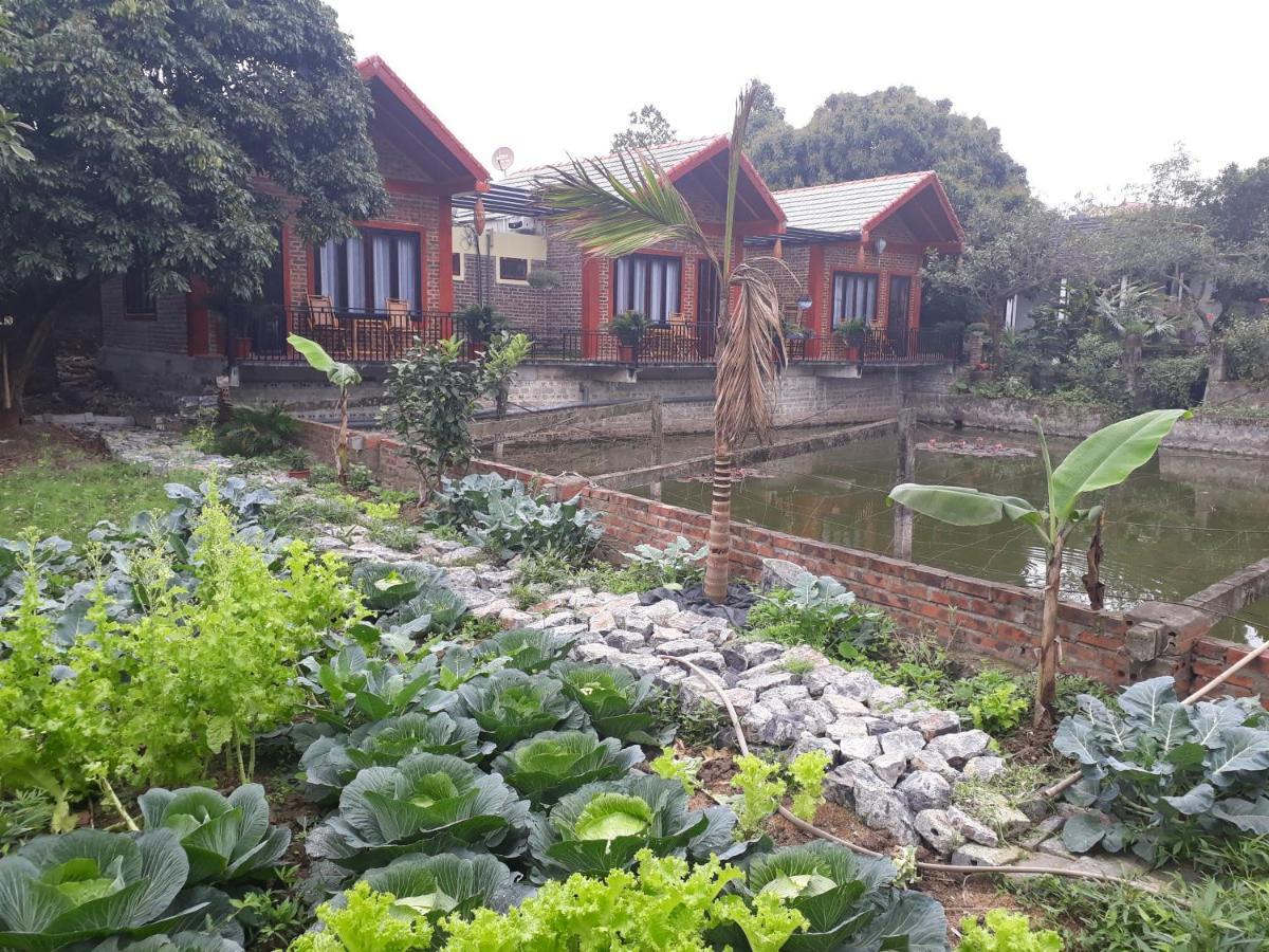 Chez Hiep Tam Coc Homestay Ninh Binh Eksteriør billede